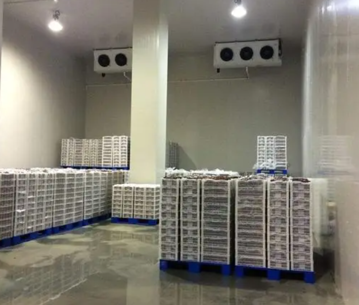 規(guī)范建造100平帶魚冷庫，為食品保鮮護(hù)航