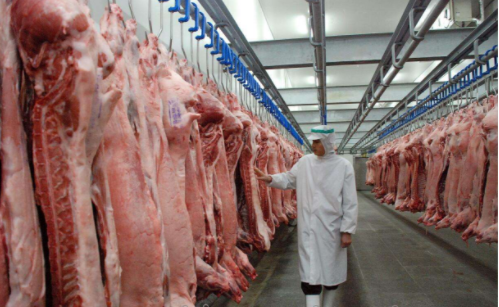 1000立方米肉類(lèi)冷凍庫(kù)