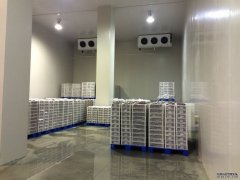 1000噸低溫冷庫安裝流程、設備、造價